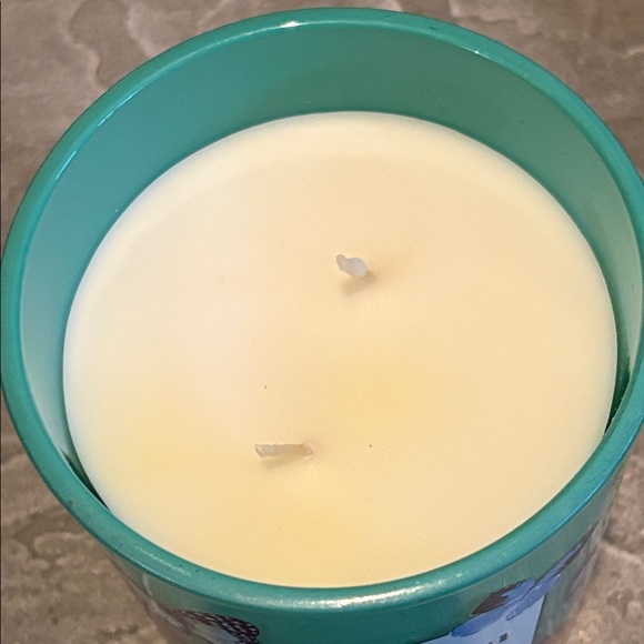 Martha Stewart Meadow of Butterflies Soy Blend Candle 16 ounces 2 wick NWOT - Picture 7 of 8